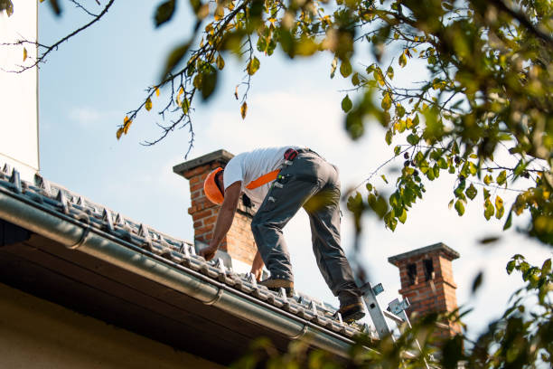 Gutter Installation and Roofing in Mundelein, IL