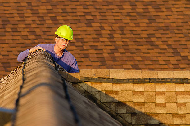 Roof Gutter Cleaning in Mundelein, IL